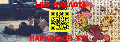 прущие грибы Тверь