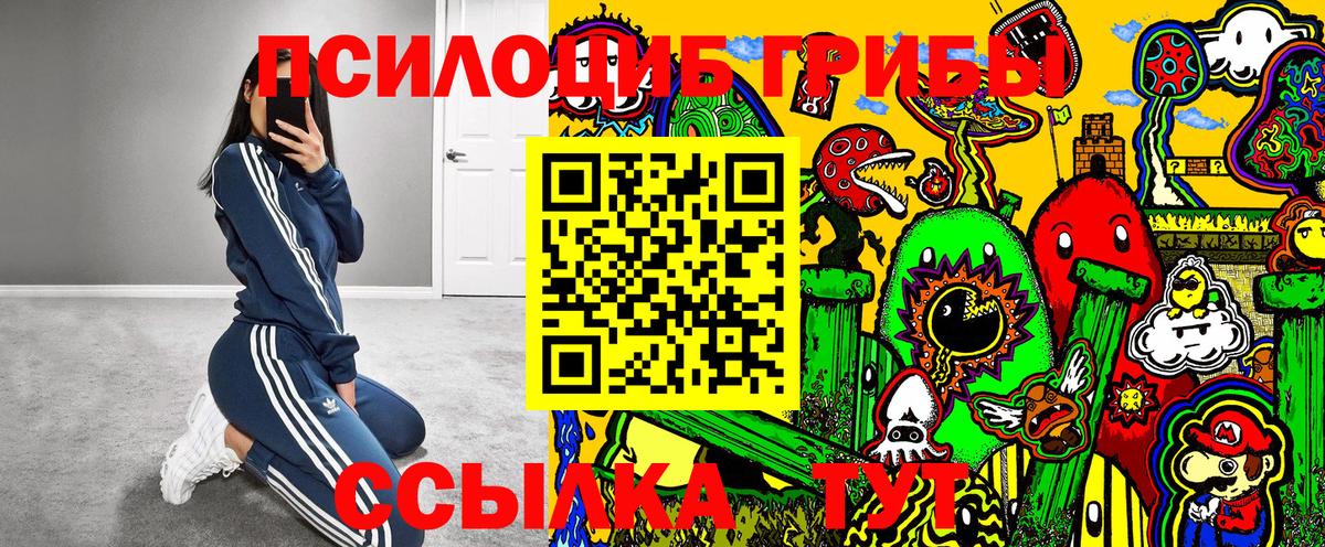 Псилоцибиновые грибы мицелий  Вход с VPN  Псилоцибиновые грибы Psilocybe  Борзя 