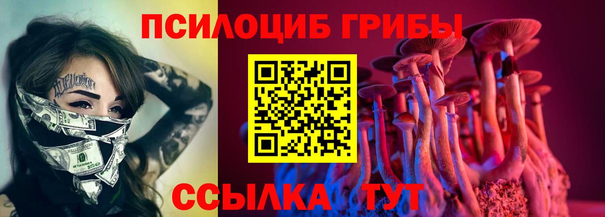 Галлюциногенные грибы Psilocybine cubensis Борзя
